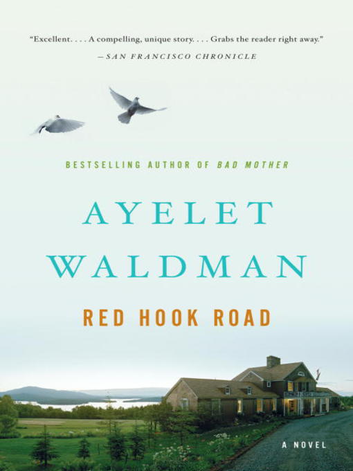 Title details for Red Hook Road by Ayelet Waldman - Wait list